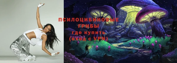 твердый Михайловка
