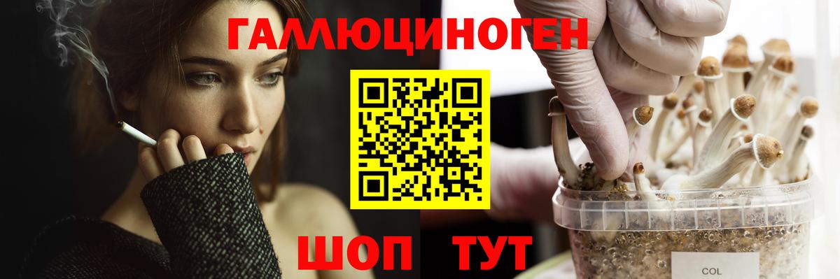 Гашиш  Заречный  Меф кристаллы  Кокаин  МАРИХУАНА  ГАШИШ  Вход с VPN  Канабис 
